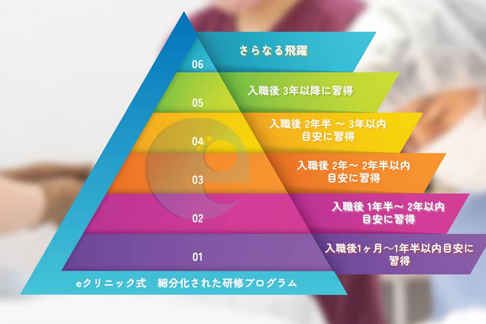 美容外科医の研修プログラム