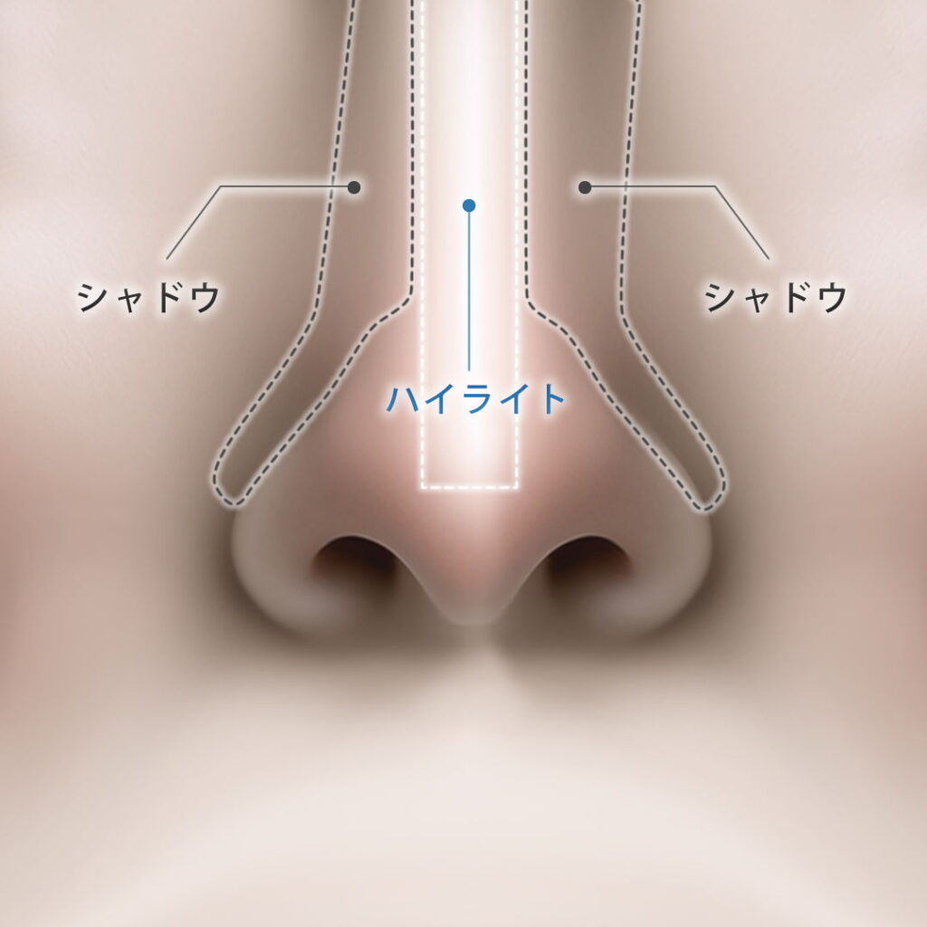 鼻筋が通っている図解