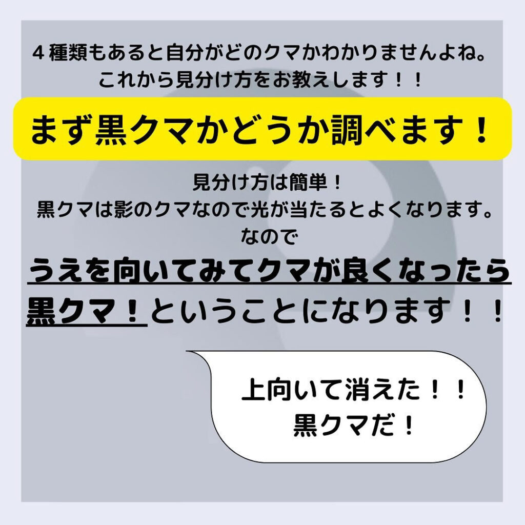 ４種類のクマの見分け方の図解